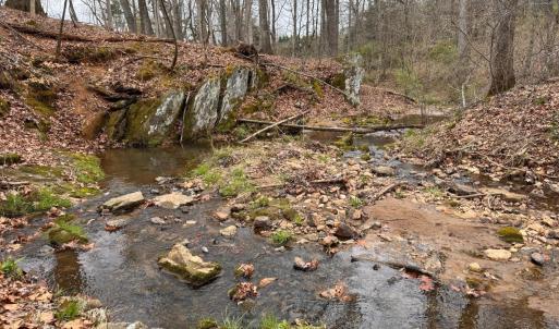 Photo #56 of 115 Foxwood Drive, Goode, VA 10.8 acres