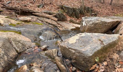 Photo #55 of 115 Foxwood Drive, Goode, VA 10.8 acres
