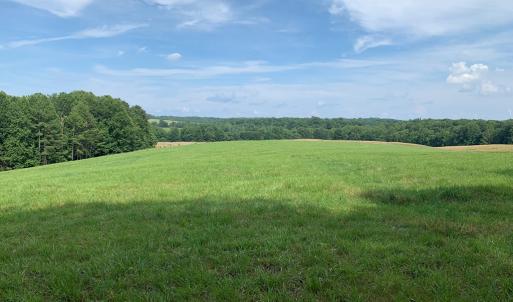 Photo #13 of 1528 Police Tower Rd, Appomattox, VA 23.3 acres