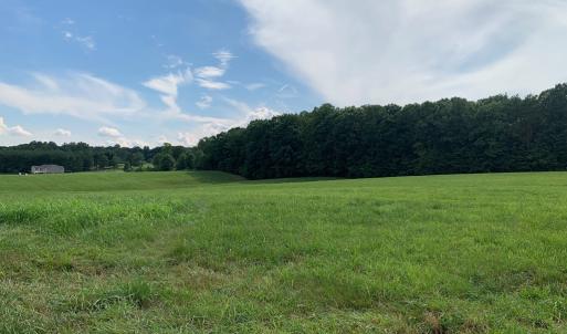 Photo #15 of 1528 Police Tower Rd, Appomattox, VA 23.3 acres