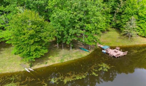 drone view dock