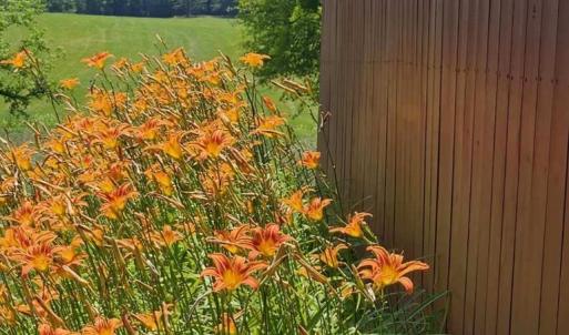 Photo #35 of 1501 Saxkey Rd, Drakes Branch, VA 86.0 acres