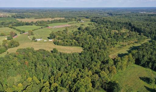Photo #13 of 288 Cole Comfort Rd, Dillwyn, VA 122.0 acres