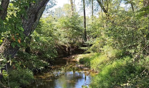 Photo #44 of 288 Cole Comfort Rd, Dillwyn, VA 122.0 acres
