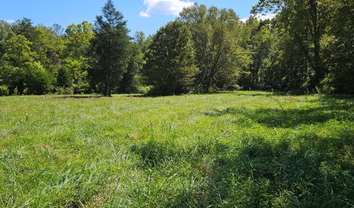 Photo #45 of 288 Cole Comfort Rd, Dillwyn, VA 122.0 acres