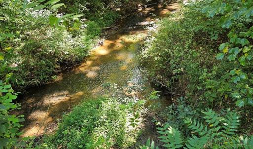 Photo #46 of 288 Cole Comfort Rd, Dillwyn, VA 122.0 acres