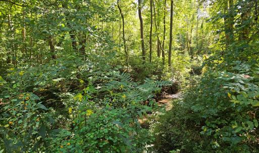 Photo #48 of 288 Cole Comfort Rd, Dillwyn, VA 122.0 acres