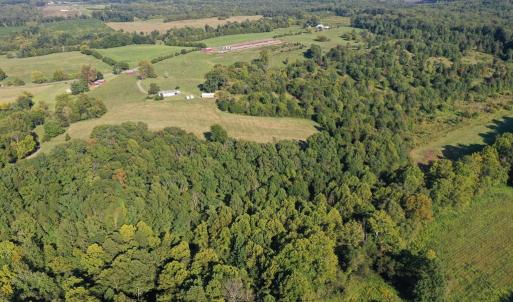 Photo #6 of 288 Cole Comfort Rd, Dillwyn, VA 122.0 acres