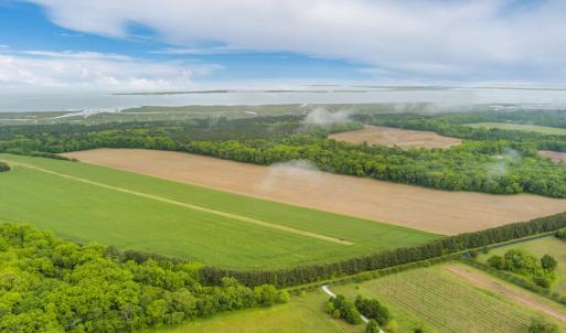 Photo #15 of 14121 SEASIDE RD, MACHIPONGO, VA 175.0 acres