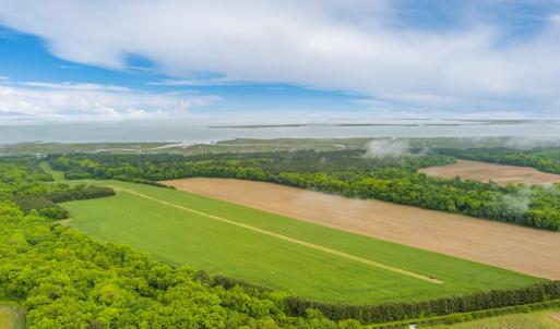 Photo #16 of 14121 SEASIDE RD, MACHIPONGO, VA 175.0 acres