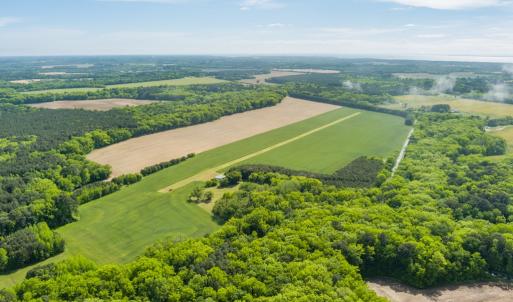 Photo #23 of 14121 SEASIDE RD, MACHIPONGO, VA 175.0 acres