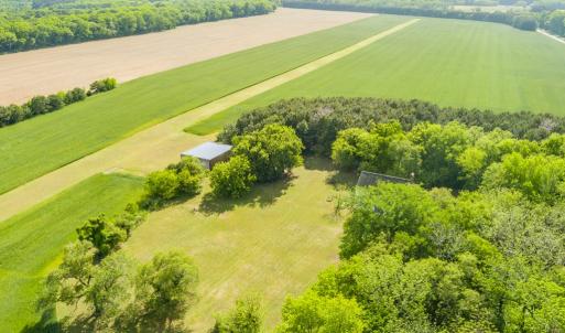 Photo #26 of 14121 SEASIDE RD, MACHIPONGO, VA 175.0 acres