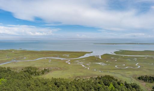 Photo #3 of 14121 SEASIDE RD, MACHIPONGO, VA 175.0 acres