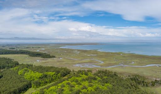 Photo #2 of 14121 SEASIDE RD, MACHIPONGO, VA 175.0 acres