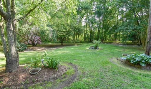 Another view of the yard