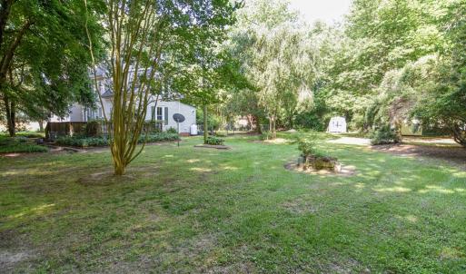 Side Yard
