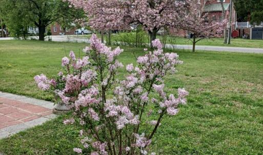 Photo #7 of 210 COLLEGE AVE, Blackstone, VA 0.7 acres