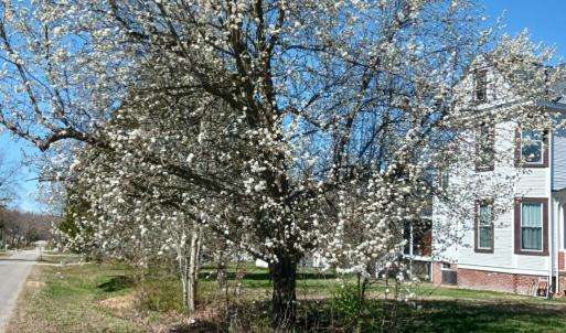 Photo #8 of 210 COLLEGE AVE, Blackstone, VA 0.7 acres