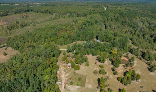 Photo #23 of 2826 Burkeville Road, Victoria, VA 86.3 acres