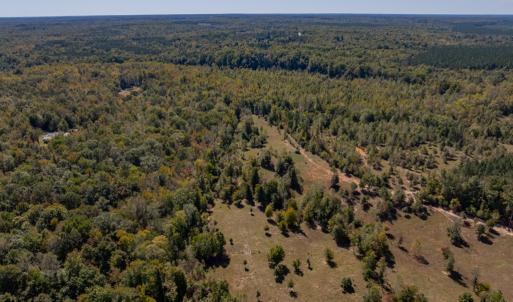 Photo #24 of 2826 Burkeville Road, Victoria, VA 86.3 acres