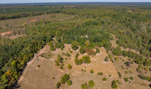 Photo #25 of 2826 Burkeville Road, Victoria, VA 86.3 acres