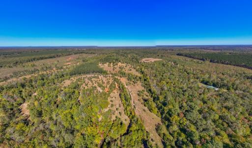 Photo #26 of 2826 Burkeville Road, Victoria, VA 86.3 acres