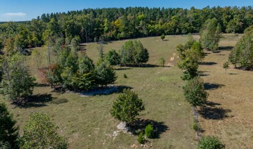 Photo #27 of 2826 Burkeville Road, Victoria, VA 86.3 acres