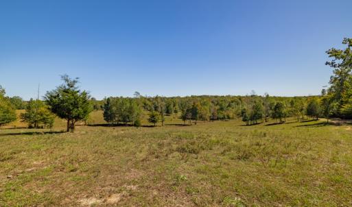 Photo #29 of 2826 Burkeville Road, Victoria, VA 86.3 acres