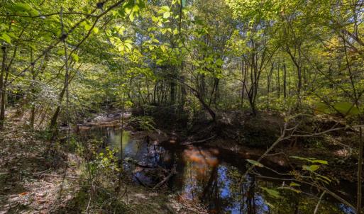 Photo #30 of 2826 Burkeville Road, Victoria, VA 86.3 acres