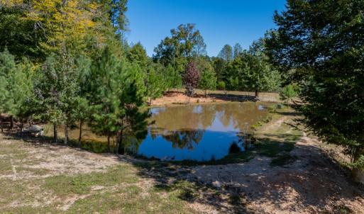 Photo #31 of 2826 Burkeville Road, Victoria, VA 86.3 acres