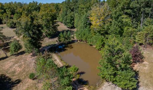 Photo #32 of 2826 Burkeville Road, Victoria, VA 86.3 acres