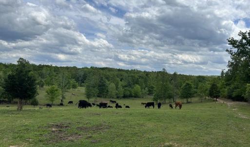 Photo #39 of 2826 Burkeville Road, Victoria, VA 86.3 acres