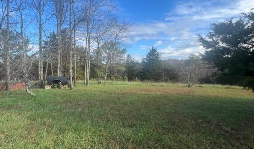 Photo #32 of 5532 Watt Abbitt Rd, Appomattox, VA 69.4 acres