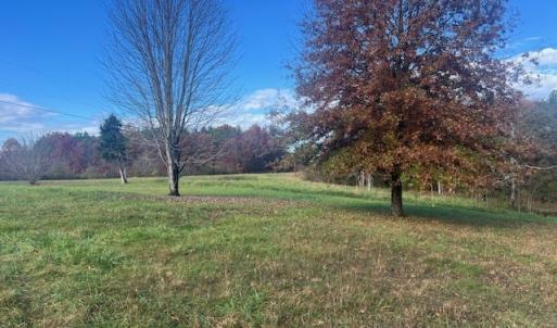 Photo #7 of 5532 Watt Abbitt Rd, Appomattox, VA 69.4 acres