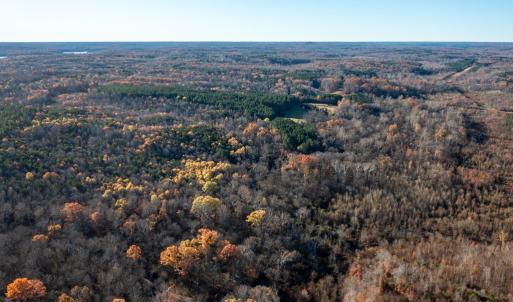 Photo #51 of 196 Fox Hill Road, Rice, VA 242.4 acres