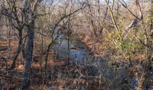 Photo #52 of 196 Fox Hill Road, Rice, VA 242.4 acres