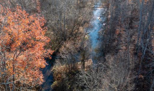 Photo #55 of 196 Fox Hill Road, Rice, VA 242.4 acres