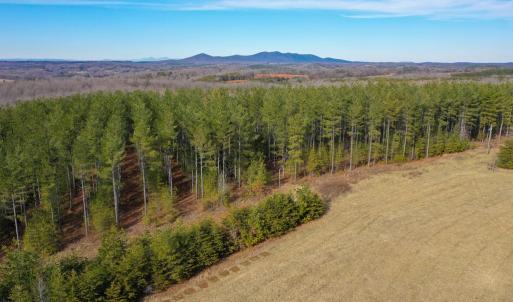 Photo #43 of 1084 Hedge Road, Chatham, VA 127.3 acres