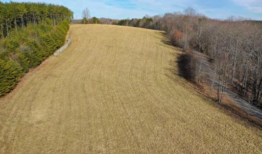 Photo #46 of 1084 Hedge Road, Chatham, VA 127.3 acres