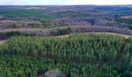 Photo #52 of 1084 Hedge Road, Chatham, VA 127.3 acres