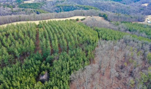 Photo #53 of 1084 Hedge Road, Chatham, VA 127.3 acres