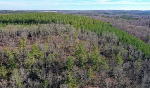 Photo #55 of 1084 Hedge Road, Chatham, VA 127.3 acres