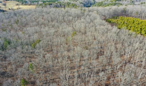 Photo #56 of 1084 Hedge Road, Chatham, VA 127.3 acres