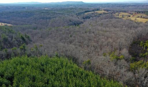 Photo #58 of 1084 Hedge Road, Chatham, VA 127.3 acres