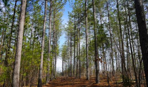 Photo #59 of 1084 Hedge Road, Chatham, VA 127.3 acres