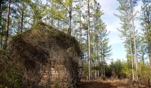 Photo #60 of 1084 Hedge Road, Chatham, VA 127.3 acres