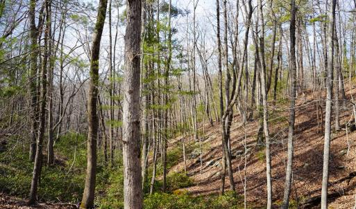 Photo #61 of 1084 Hedge Road, Chatham, VA 127.3 acres
