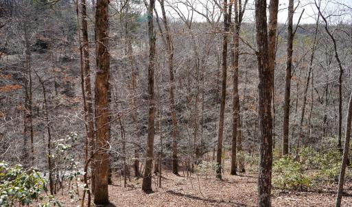 Photo #66 of 1084 Hedge Road, Chatham, VA 127.3 acres