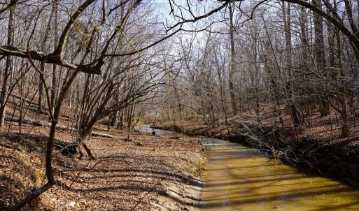 Photo #67 of 1084 Hedge Road, Chatham, VA 127.3 acres