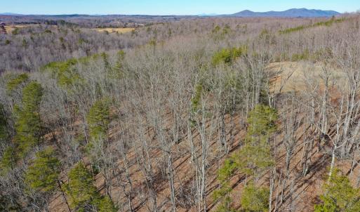 Photo #69 of 1084 Hedge Road, Chatham, VA 127.3 acres